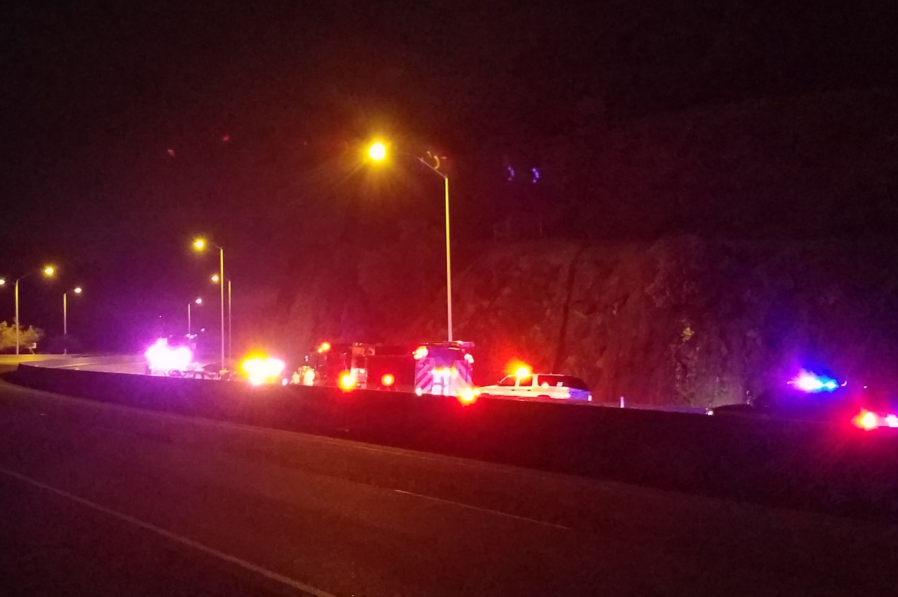Fatal head-on collision on I-5 near 124